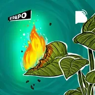 Por que se preocupar com o meio ambiente? – BTPapo 082