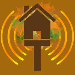 Treehouse Radio