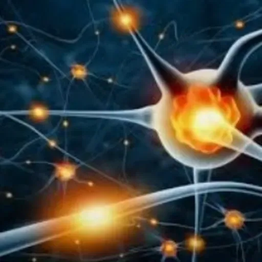 Potencial de acción del sistema nervioso 