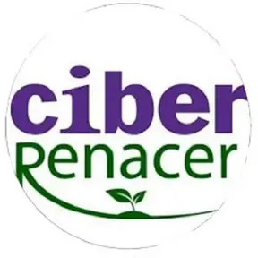 CIBER RINCONADA DE LOS ANDES