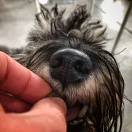 🌳 📚 ... ali res nobena hrana ne pomaga?