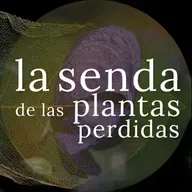 La flecha más letal enraíza en la montaña: Aconitum sp. {SPP 082}