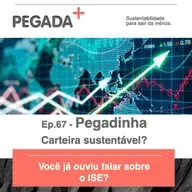 Ep.67 - Pegadinha - ISE - A carteira sustentável
