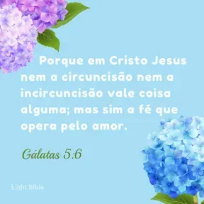 Conexão  fm