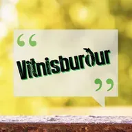 Stuttur vitnisburður - Jann Johannesen