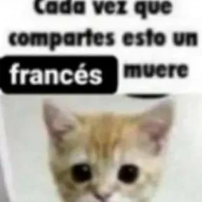 Vamos todo el viaje