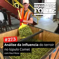 #273 - Análise da influencia do terroir no lúpulo Comet