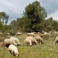 Questions d'élevages (2)