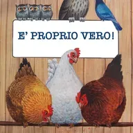 8 E' proprio vero, di Hans Christian Andersen