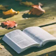 Evangelio según Juan capítulo 7