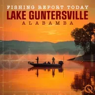 Lake Guntersville Fishing Report: Winter Bass Bonanza at Alabama's Giant