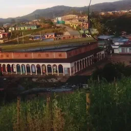 Vida y salvación