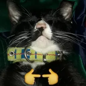 JORKAN