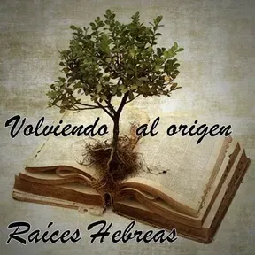 Volviendo al origen
