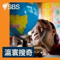 【瀛寰搜奇】德國美術館「勞嘈」導覽團 縱「受氣」還要再來