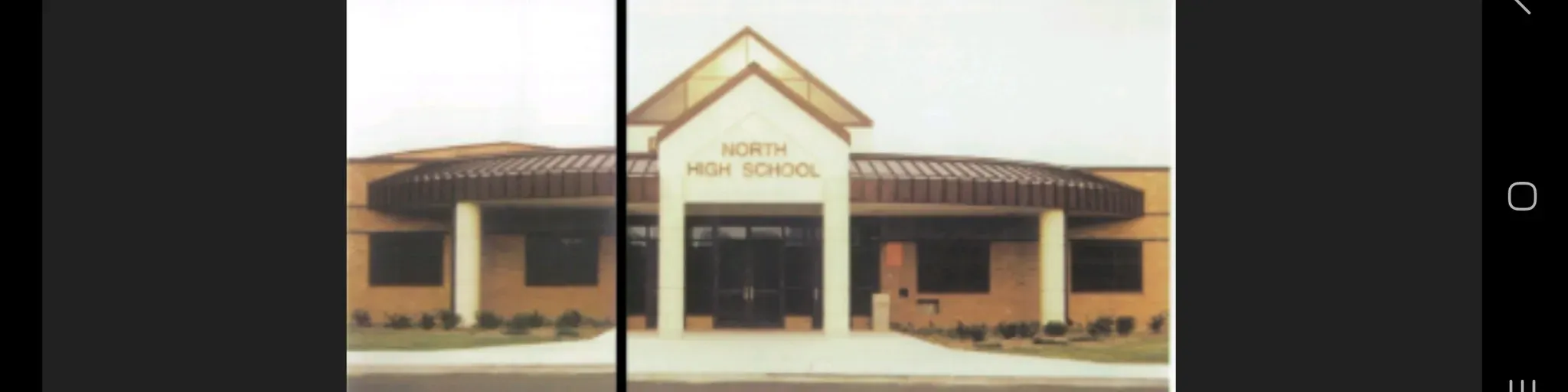 ANHS Noctiluca Livewire