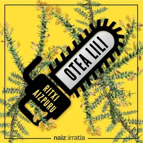 NAIZ IRRATIA - Otea lili | naiz.eus