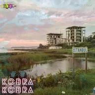 Kobra Gündem #174 – Sallandık Ama Yıkılmadık