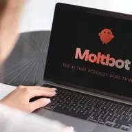 Moltbot - TikTok USA - AI e security
