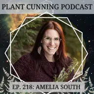 Ep.218: Amelia South and No BS Herbalism