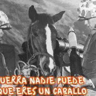 Las fantásticas aventuras de la Sargento Reckless