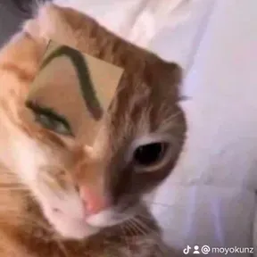 MoyoS.O.U.N.D.S