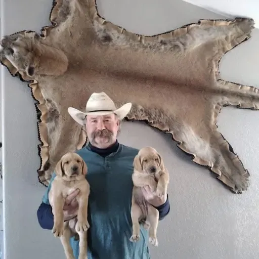 Cal Allen: Lessons From a Life Hunting Lions & Bears With Cur Dogs Episode 1