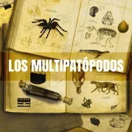 Capítulo #78 - Los multipatópodos (Selección), de Yosa Vidal