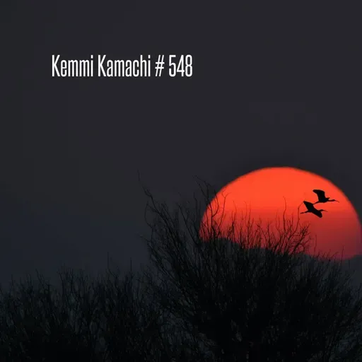 Kemmi Kamachi # 548