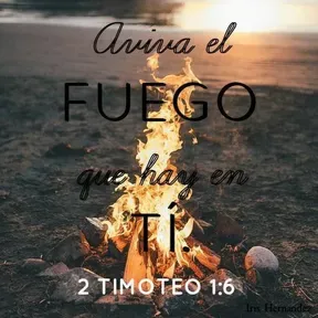 Aviva El Fuego