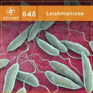 Leishmaniose: uma doença devastadora e um parasita fascinante (SciCast #648)