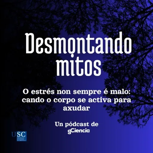O estrés non sempre é malo: cando o corpo se activa para axudar