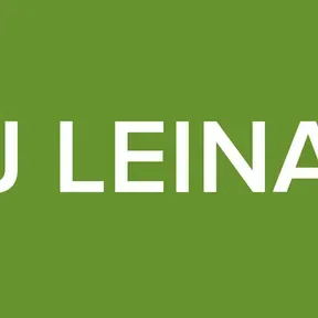 DJ LEINAD