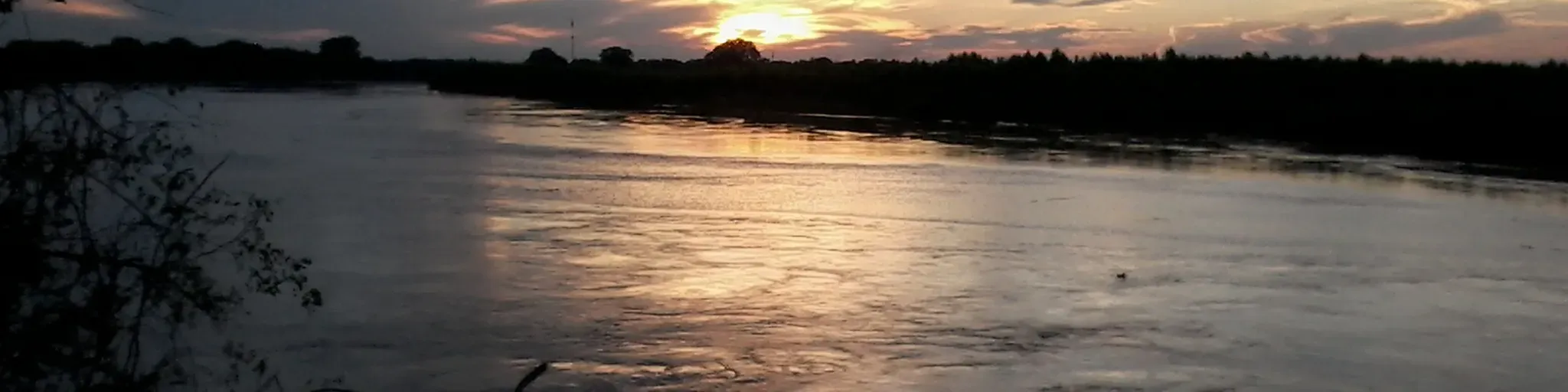 Acuario
