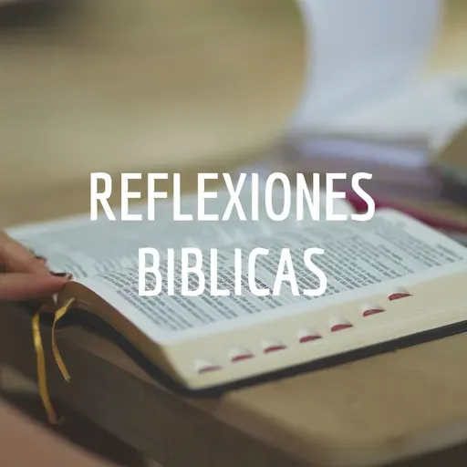 22. Audio Libro.Santidad(J. C. Ryle) El verdadero cristianismo es buena batalla.