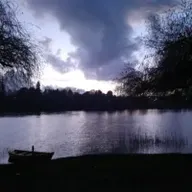 ¡Andá pa'allá, bobo!