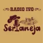 Rádio Ivo Vibe Sertaneja