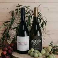 Montes Norte, tradición e innovación entre olivos y viñas