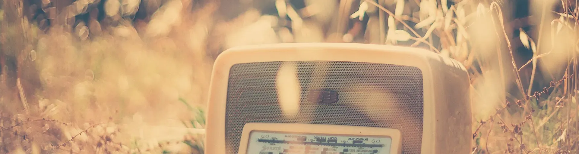 PulseWave Radio..Sintoniza la Diversidad en Streaming