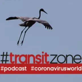 #transitzone