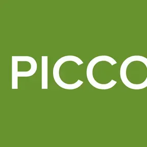CANZONE PICCOLASTELLA
