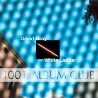 866 David Gray - White Ladder