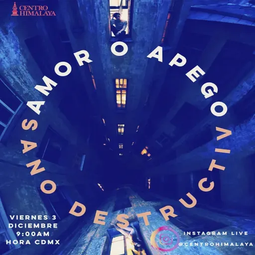 Amor Sano o Apego Destructivo