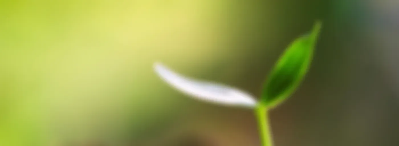 ポルノ×恋愛恐怖 克服日記ー光に向かう日々