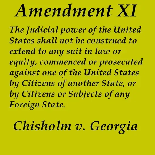 ARP390 The Eleventh Amendment