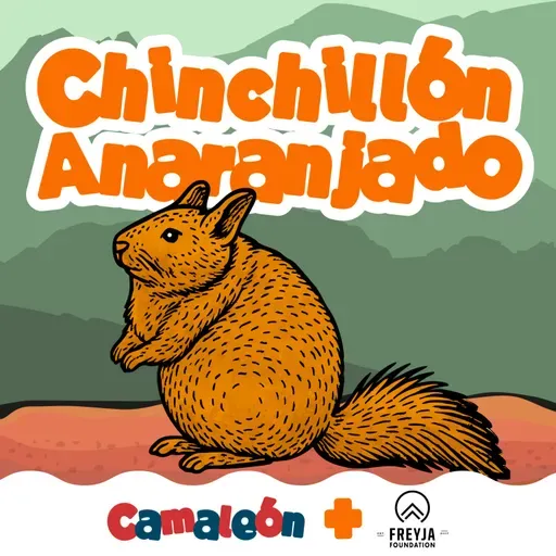 Chinchillón anaranjado: el escalador imposible de la Patagonia