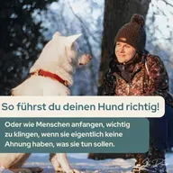 So führst du deinen Hund richtig