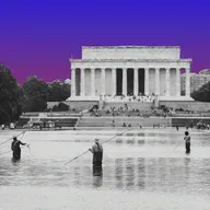 What Next - What the Pool’s Reflecting