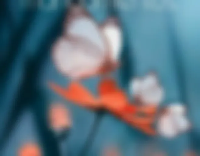 El amigo que le ayuda