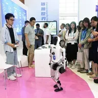 Int'l enterprises hail China's supply chain development